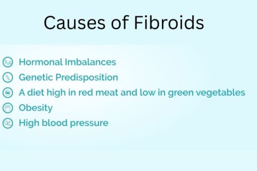Causes of Fibroids