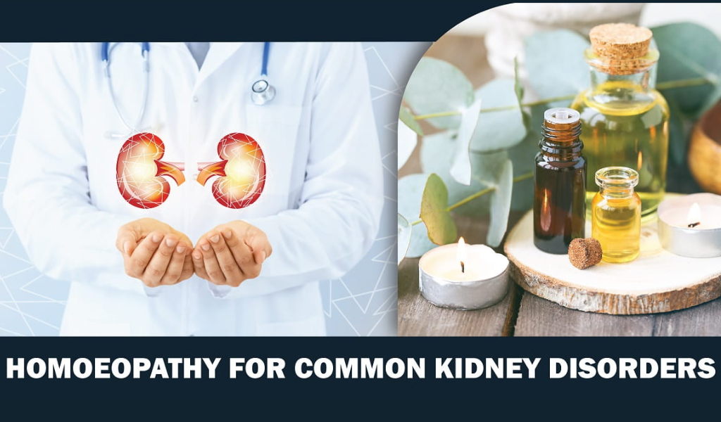 kidney disorders ppt