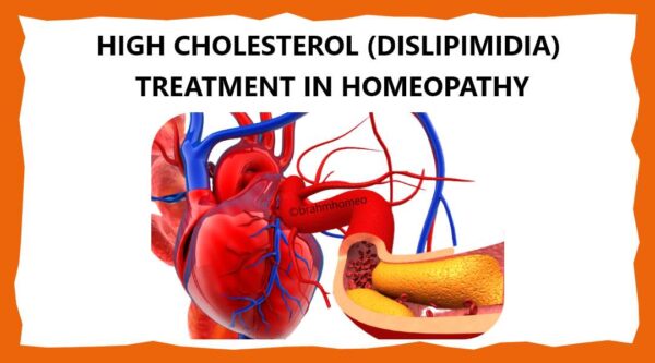 homeopathic medicine for high cholesterol