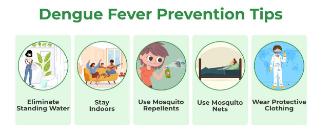 homeopathic medicine for dengue fever