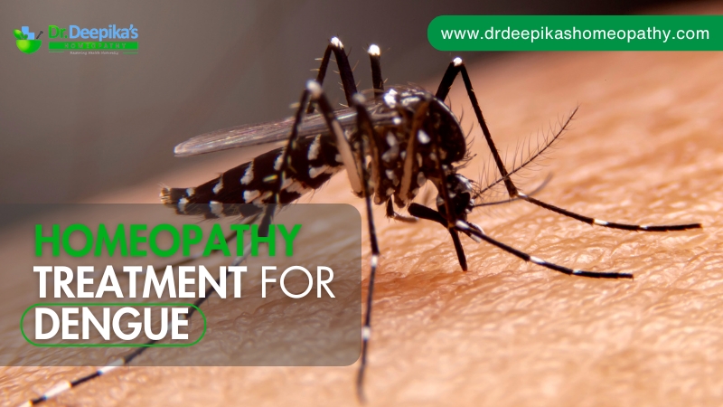 Homeopathy Treatment for Dengue