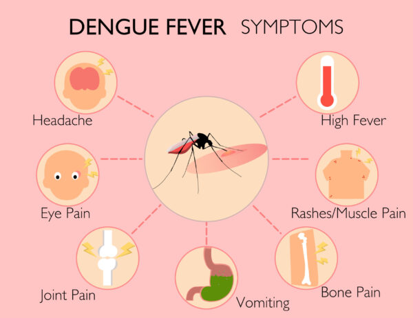 Symptoms Of Dengue fever