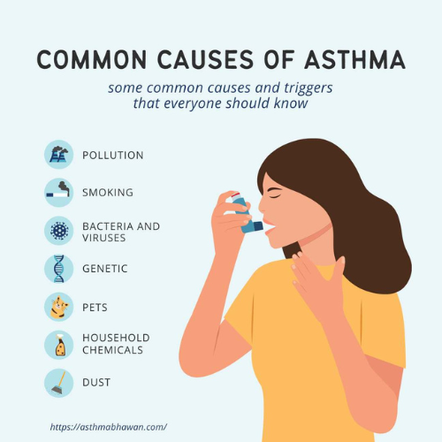 Causes of Asthma