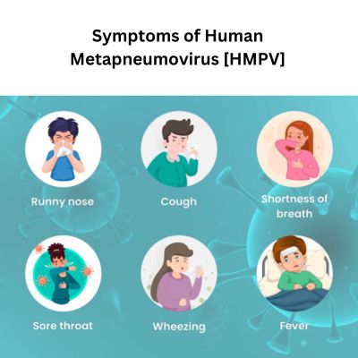 Symptoms of Human Metapneumovirus