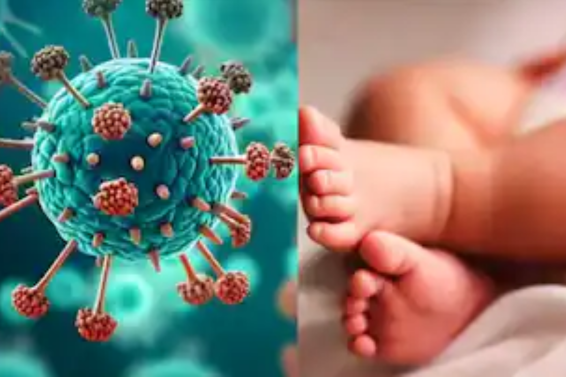  What is Human Metapneumovirus [HMPV]?