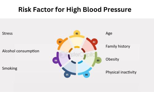 Risk Factor for High Blood Pressure - Homeopathy Medicine for High Blood Pressure