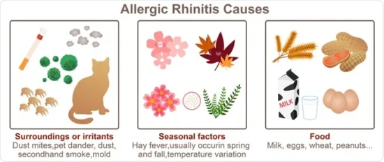 Causes of Allergic Rhinitis