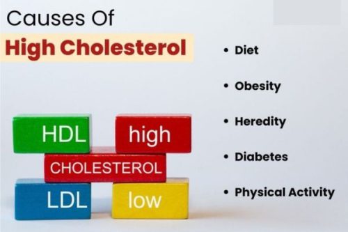 Causes of High Cholesterol Causes of High Cholesterol