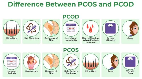 Difference Between PCOS and PCOD